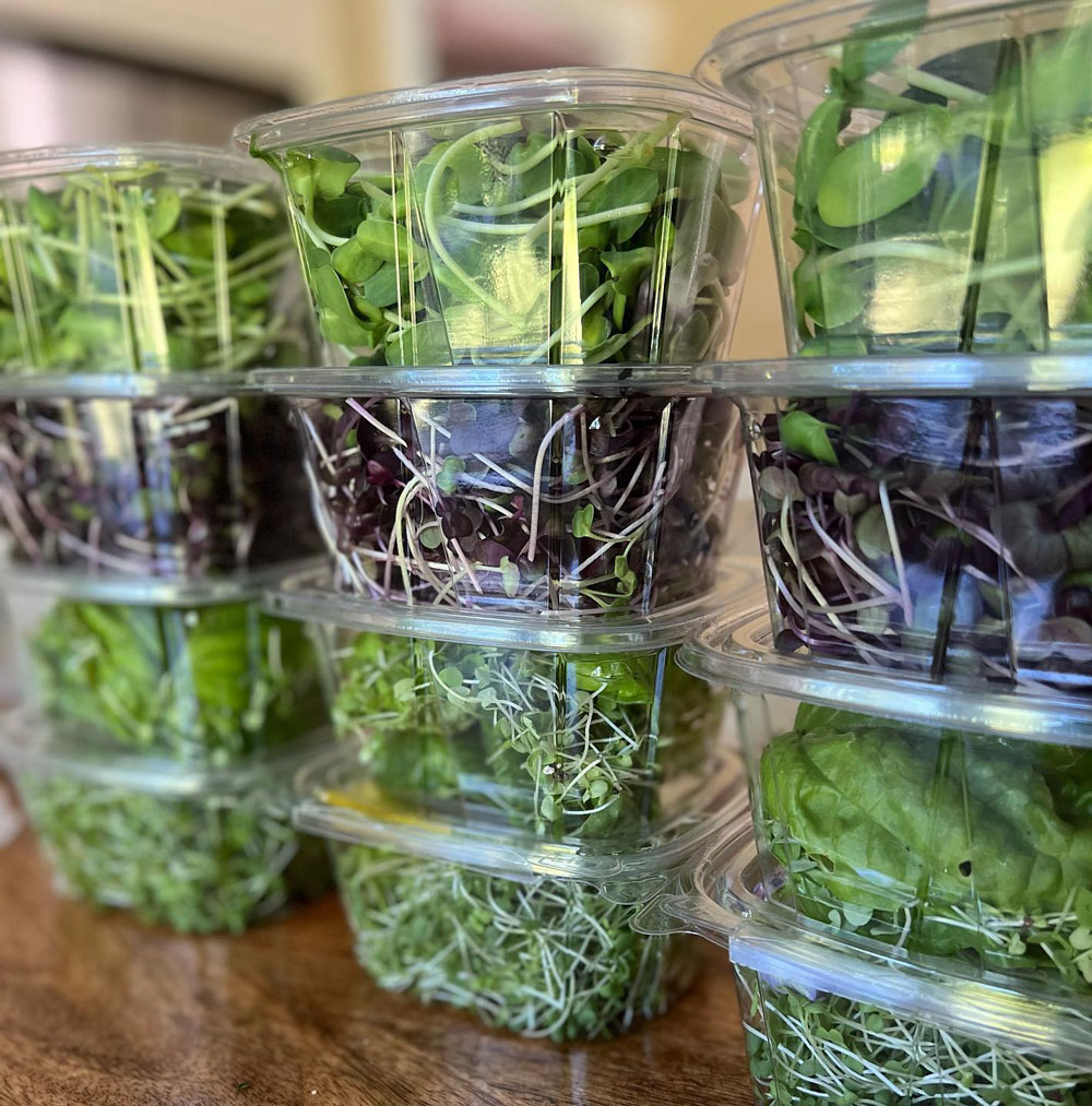 Individual Microgreens