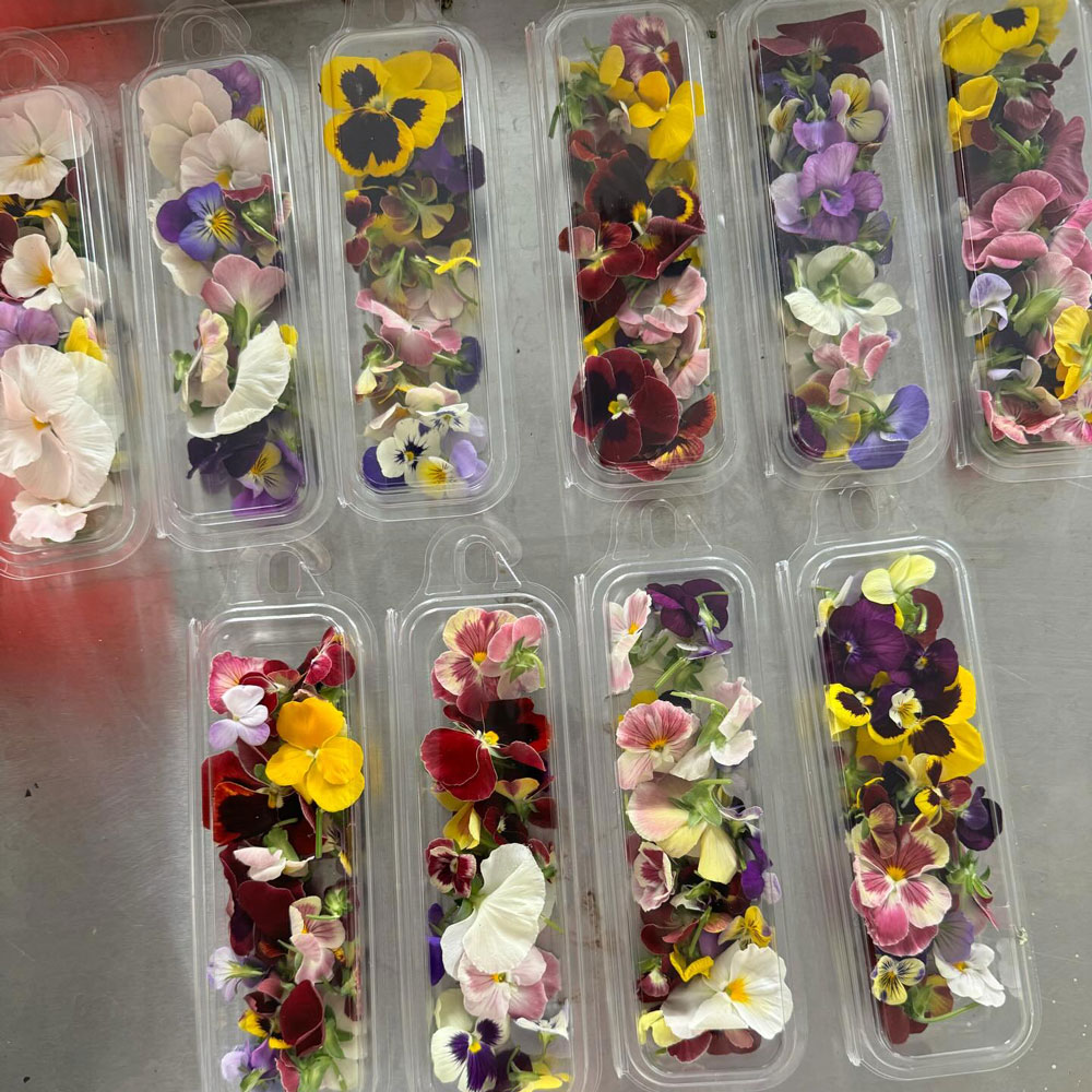 Edible Flowers